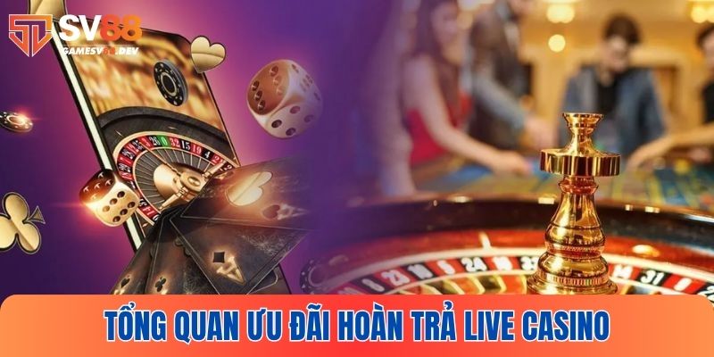 Giới thiệu tổng quan khuyến mãi hoàn trả live casino SV88