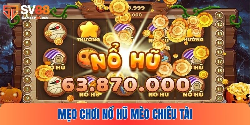 Một vài kinh nghiệm chơi nổ hũ Mèo Chiêu Tài